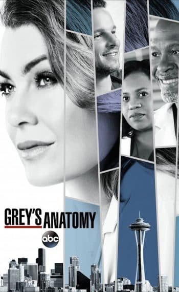 Il poster della quattordicesima stagione di Grey's Anatomy