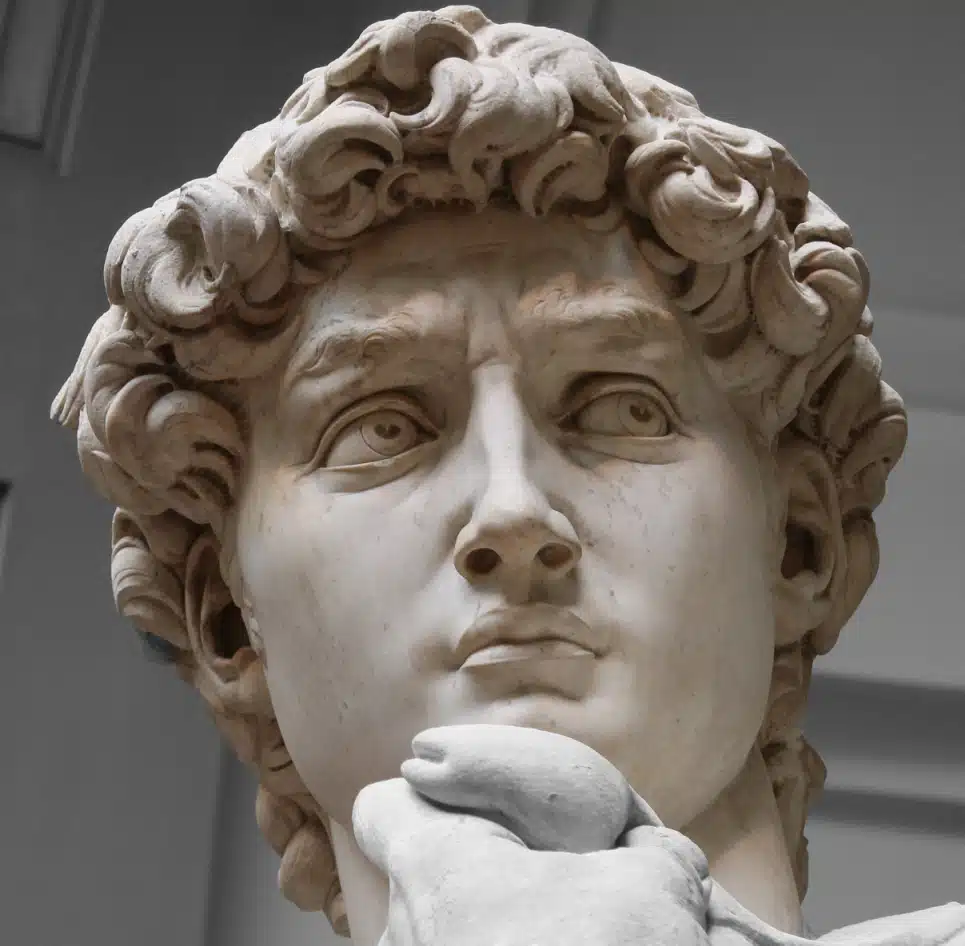 Viso David di Michelangelo